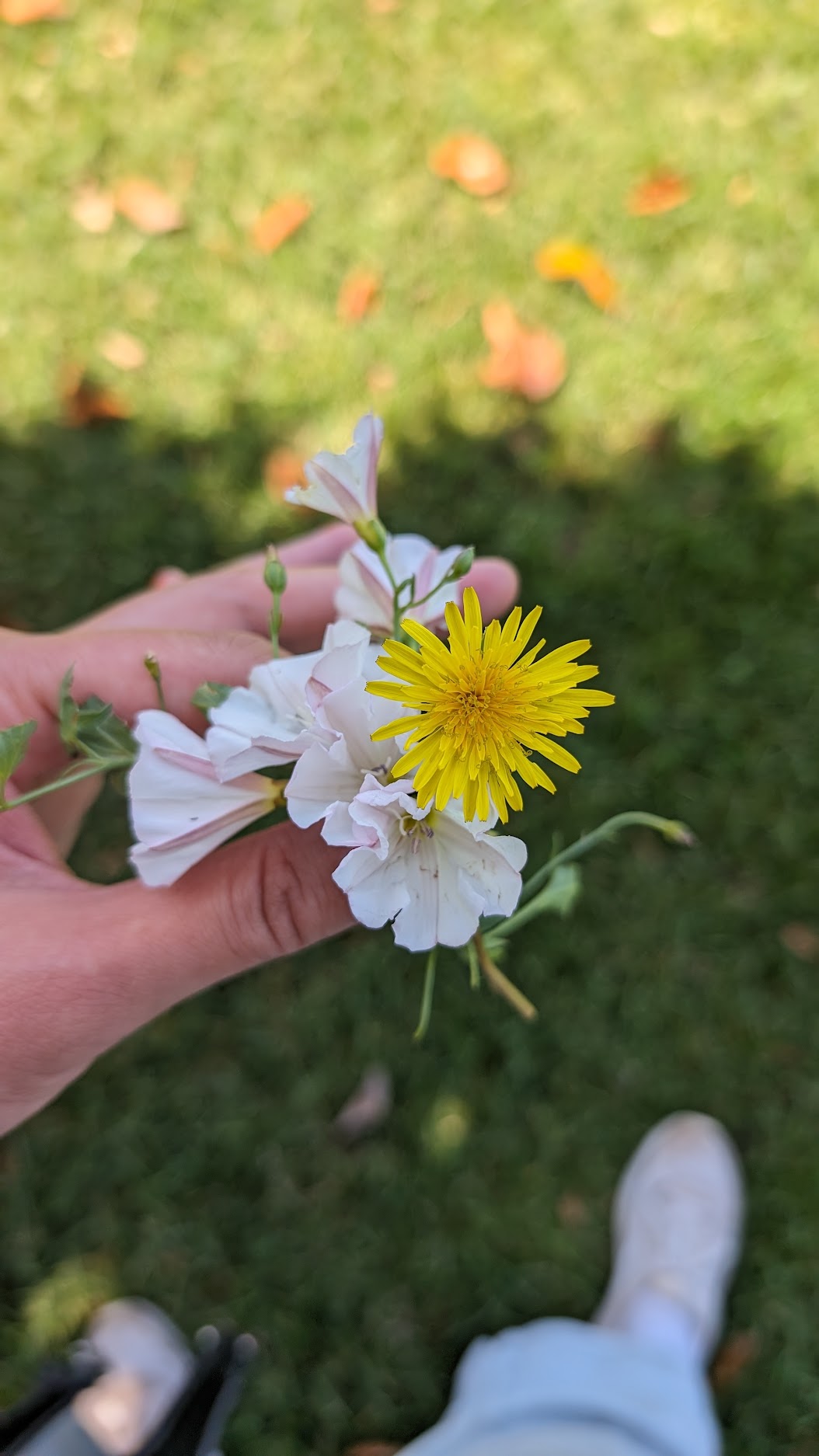 Small bouquet